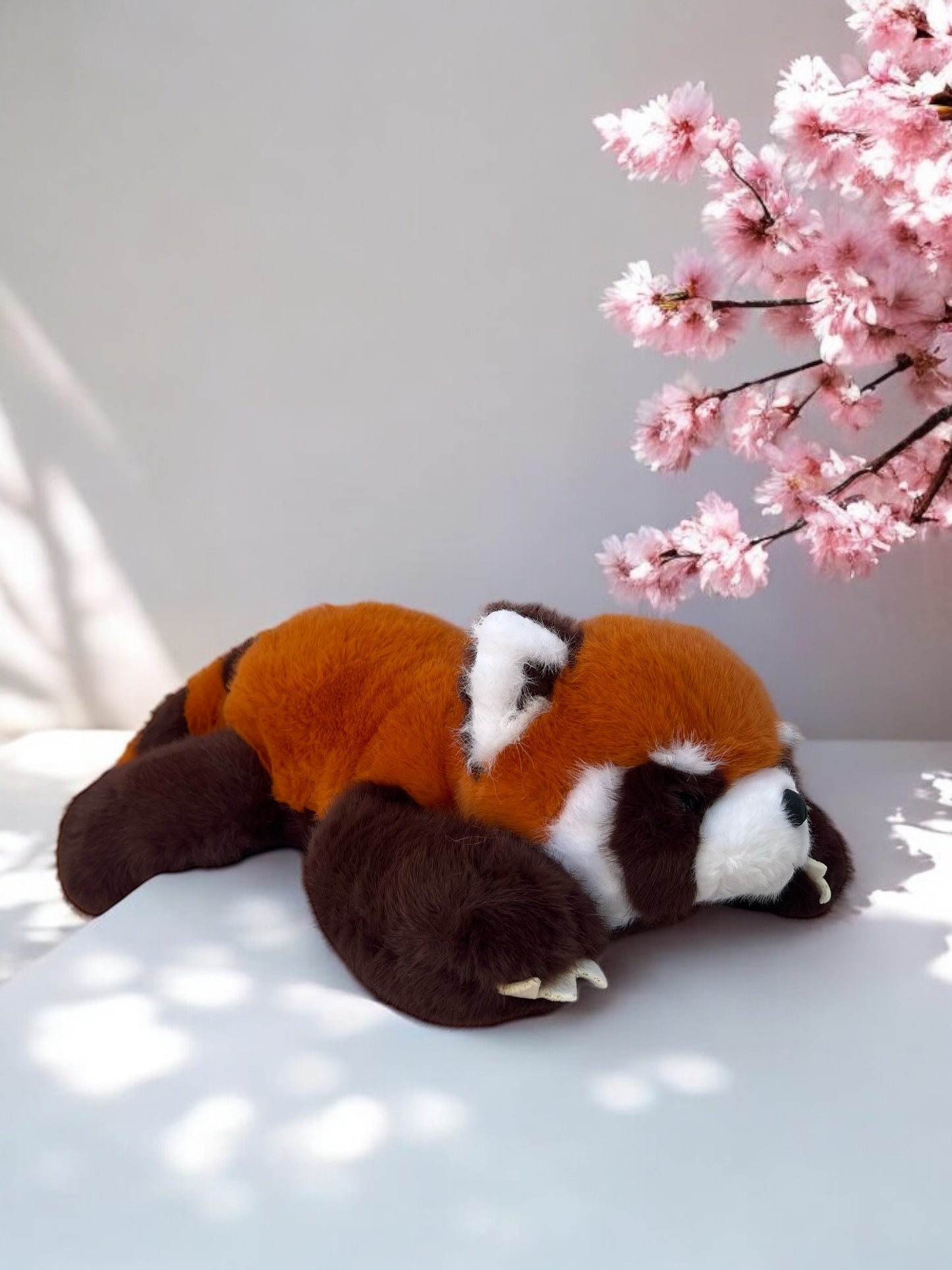 Red Panda