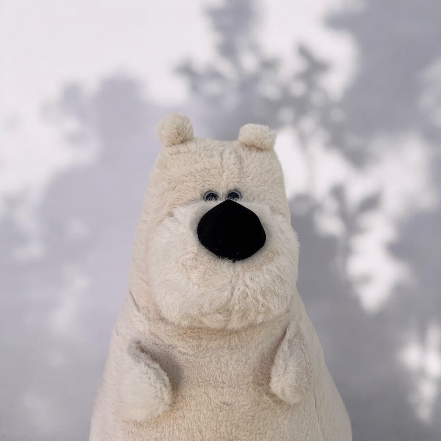 Snow Bear