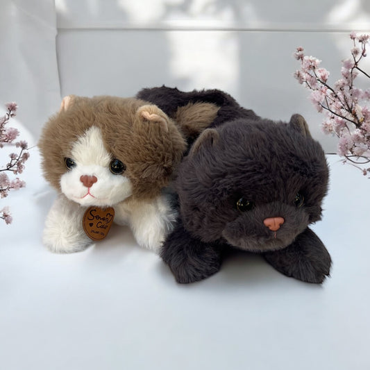 Simsim Bundle